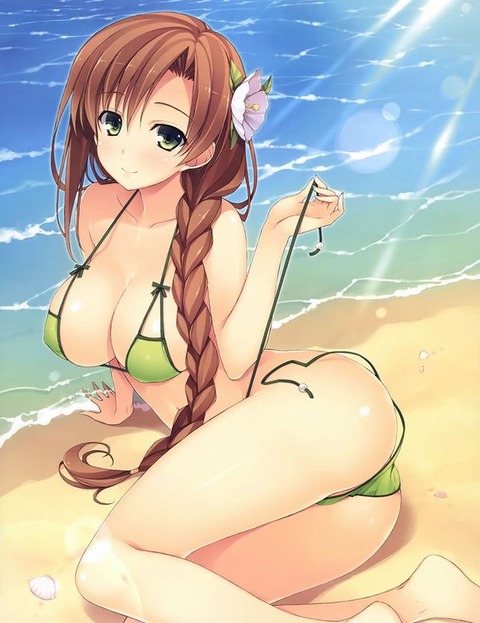 （水着）ビキニの女の子のぬける画像１５ 11