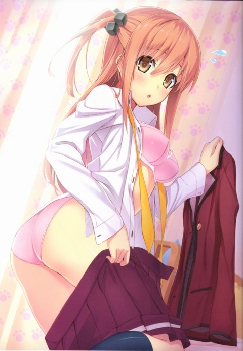 二次エロに下着はマストだなって思うエロ画像 14