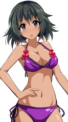 PCパンパンになっても保存したいお気に入りの二次エロ画像３ 4