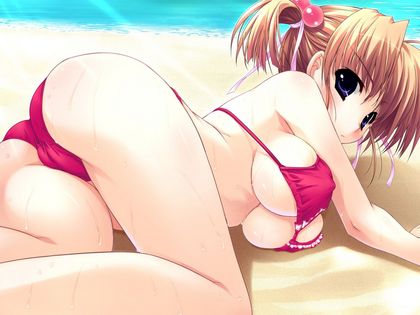 （水着）ビキニの女の子のぬける画像 9
