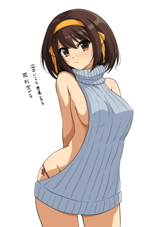hentai_suzumiya-haruhi2