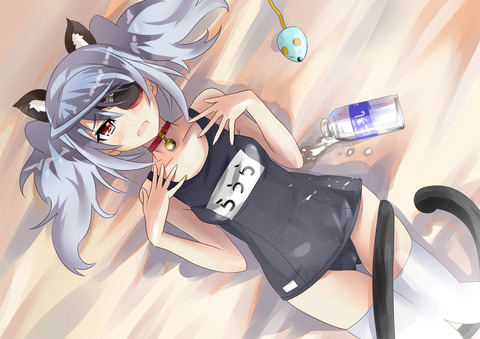 （二次エロ画像）これからシコる人ようのエロ画像 11