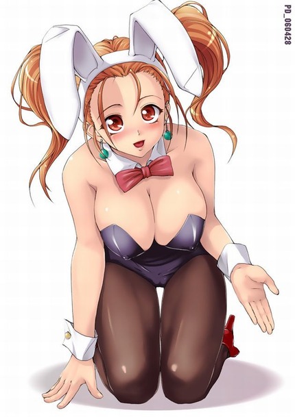 （うさ耳、バニー）かわいいバニーちゃんたちのエロ画像１５ 13