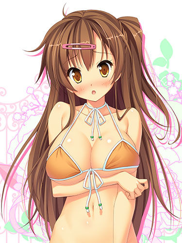 （水着）ビキニの女の子のぬける画像 7