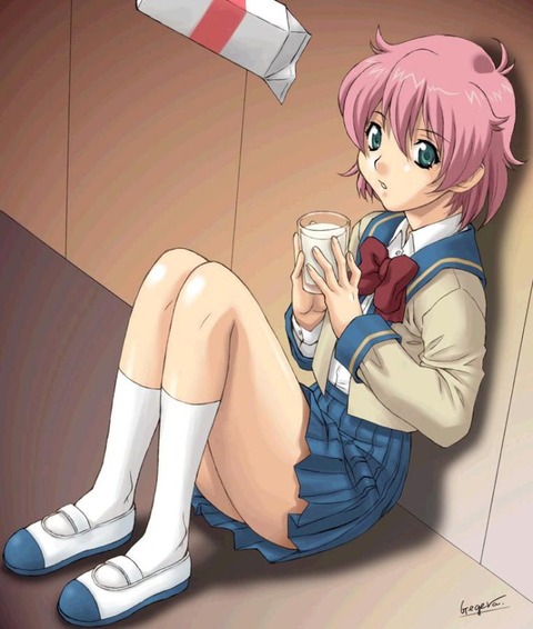 見えそうでみえないパンツを探してしまうぬける二次エロ画像まとめ 28