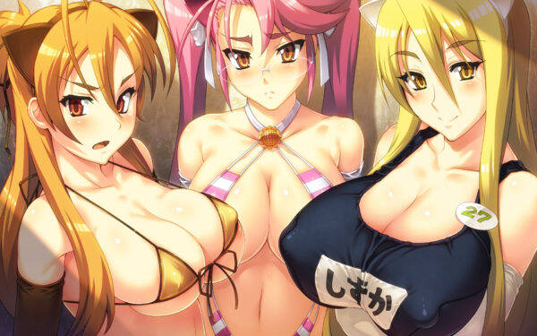 hentai_highschoolofthedead-takagisaya_pornpic44