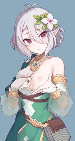 hentai_princess_connect8