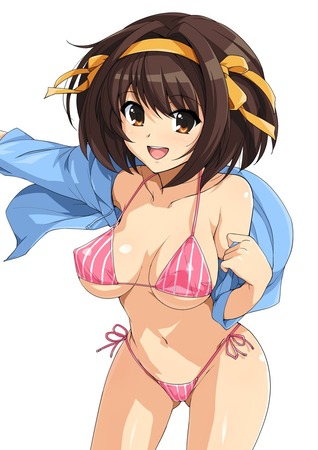 hentai_suzumiya-haruhi38
