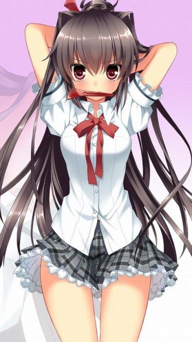 スカートがこの世界にあって本当に良かったと思える二次エロ画像０４ 11