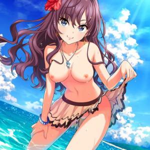 夏の沖縄とかにいそうな美少女でおもてなし（二次エロ画像） 8