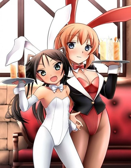 （うさ耳、バニー）かわいいバニーちゃんたちのエロ画像１５ 4