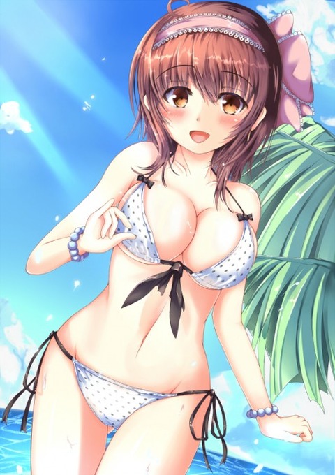 （水着）ビキニの女の子のぬける画像１５ 2