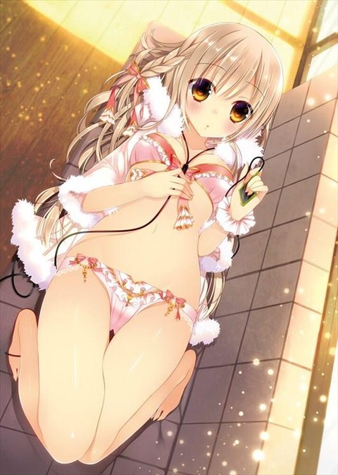 あなたのお気に入りでヌいてください。（二次エロ画像） 15