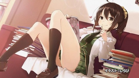 見えそうでみえないパンツを探してしまうぬける二次エロ画像まとめ 17