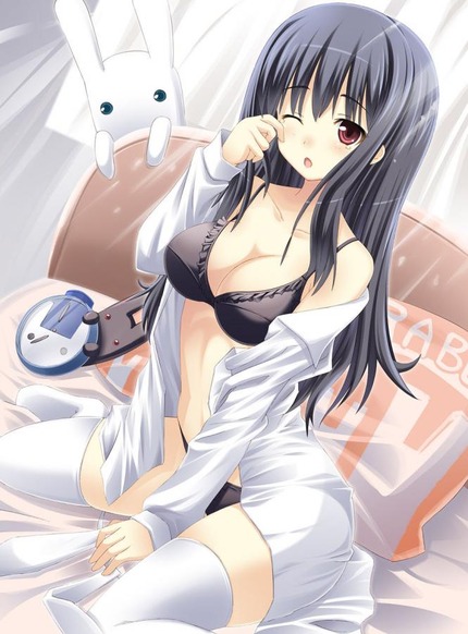 妄想：かわいい女の子とエッチしてる気分になれる主観のにじえろ画像まとめ 14