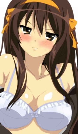 hentai_suzumiya-haruhi46