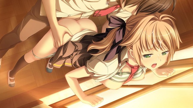 女の子を後ろからアンアン鳴かせる 12