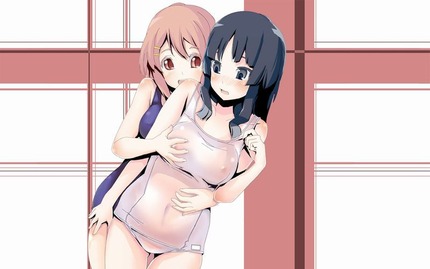 二次エロ画像を適当に見繕っておいたょ０３ 6