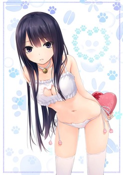 良いあんばいでえっちくて保存したくなるレベル高い二次エロ画像まとめ 17
