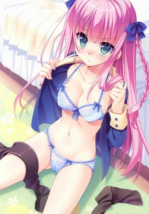 （二次エロ画像）エロさが伝わるエロい画像 32