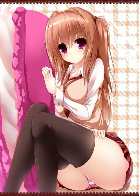 二次エロに下着はマストだなって思うエロ画像１０ 6