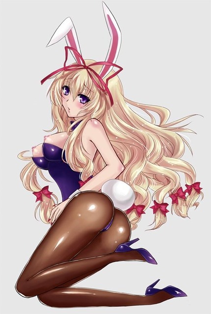 （うさ耳、バニー）かわいいバニーちゃんたちのエロ画像１５ 10