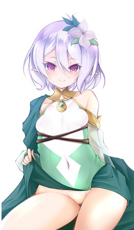 hentai_princess_connect44