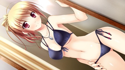 二次エロ画像を適当に見繕っておいたょ１６ 7