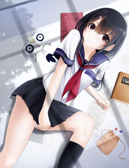 二次エロ画像を適当に見繕っておいたょ０６ 6