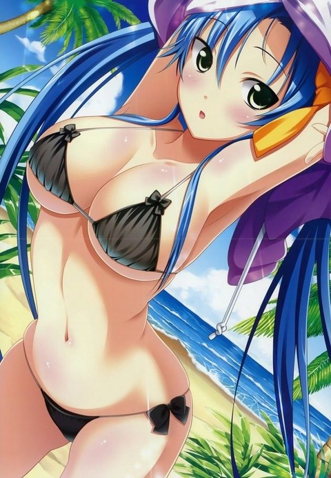 （水着）ビキニの女の子のぬける画像 8