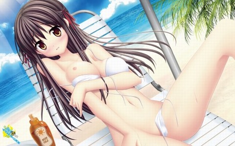 (水着)ビキニの女の子のぬける画像15