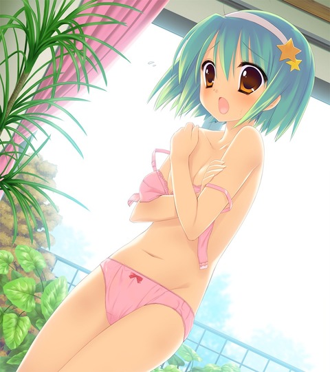二次エロに下着はマストだなって思うエロ画像１０ 12