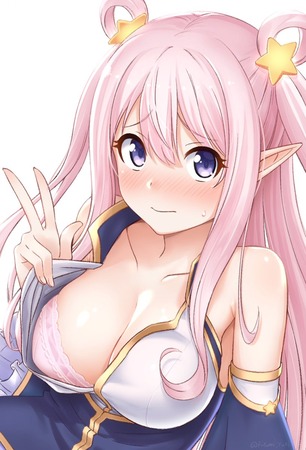 hentai_princess_connect47
