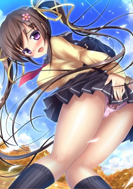 スカートがこの世界にあって本当に良かったと思える二次エロ画像０４ 47
