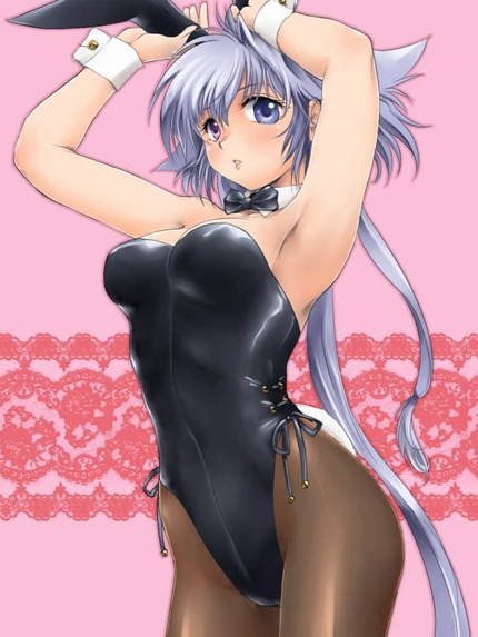 （うさ耳、バニー）かわいいバニーちゃんたちのエロ画像１０ 14
