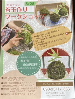 苔玉ワークショップ