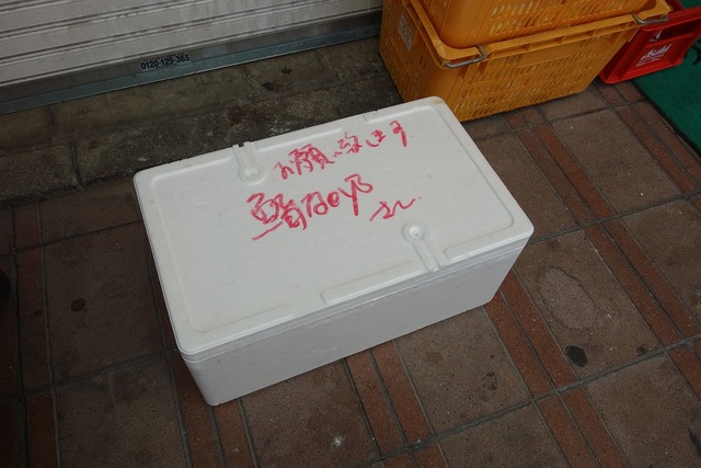 DSC07381