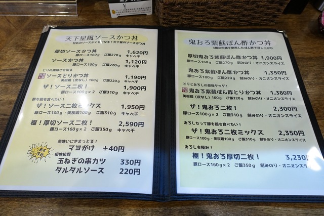 s-DSC09041