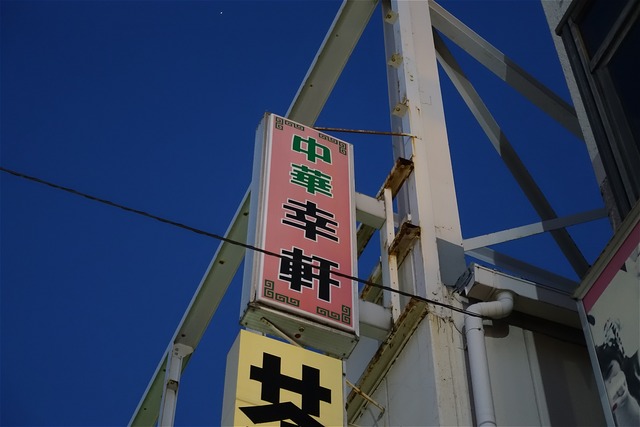 DSC02207