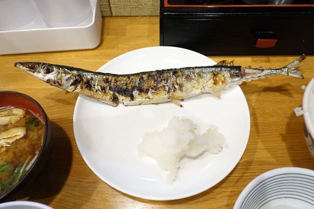s-DSC06640
