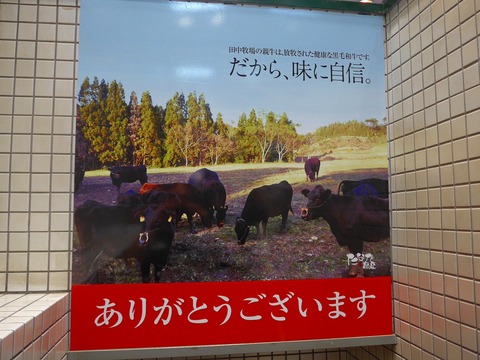 P1560779