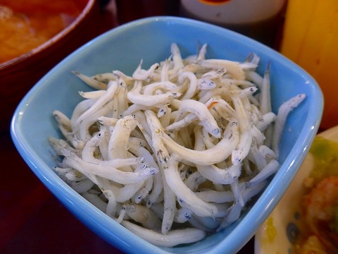 P1130330