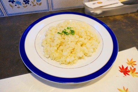 P1050593