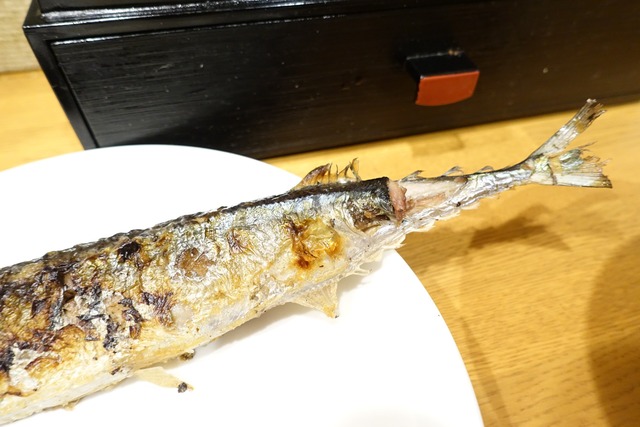 s-DSC06647