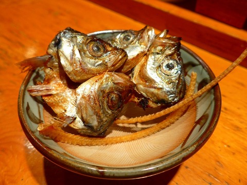 P1150166