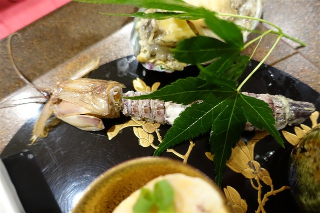 DSC05550
