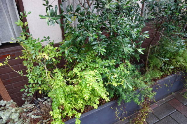 DSC04940