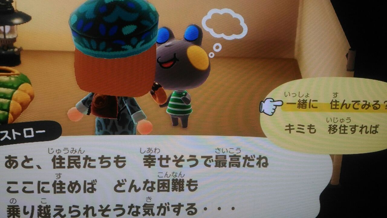 あつ森 コワイ 性格 プログラム ニュース あつ森 コワイ 性格 プログラム ニュース