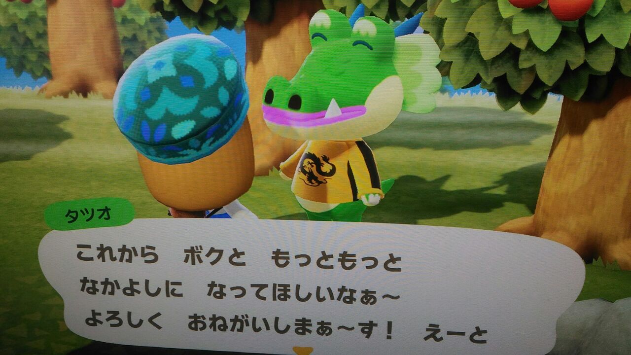 ネタバレ注意 あつ森 ローランさん来た 青草 ほしのそうこ ネタバレ注意 あつ森 ローランさん来た 青草 ほしのそうこ