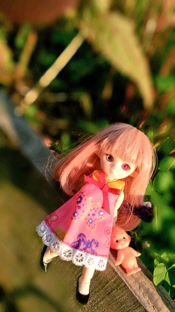 プチフェアリーはいいぞ : 【青草】ほしのそうこ(完）